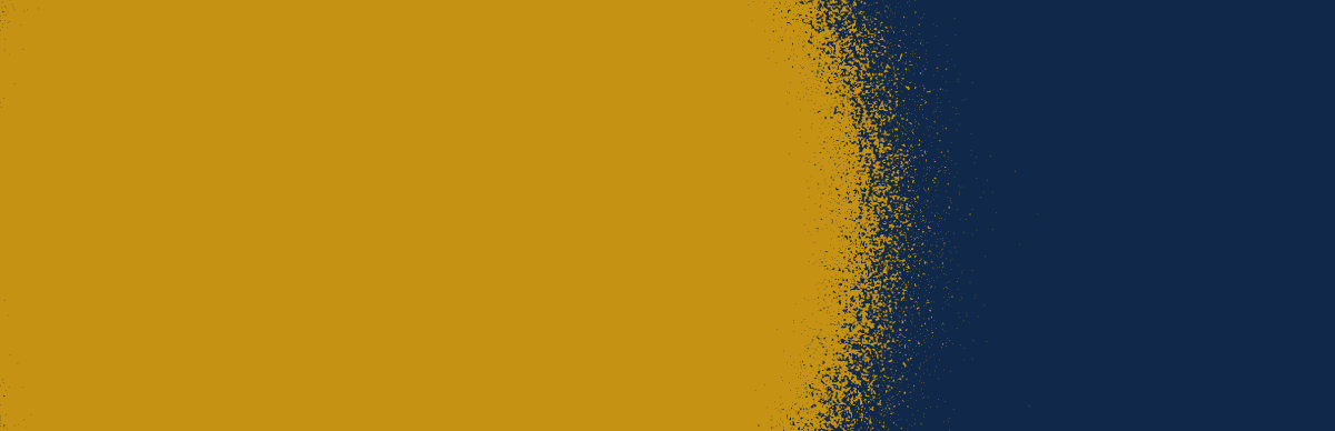 ctainset-simple-grit-gold-on-navy.png